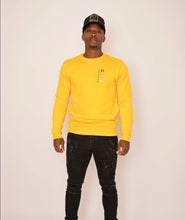 Load image into Gallery viewer, “Freedom Banner” Crewneck